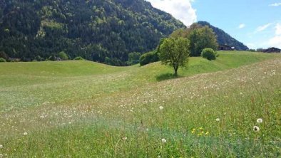 Aussicht Balkon, © Rendl Elisabeth