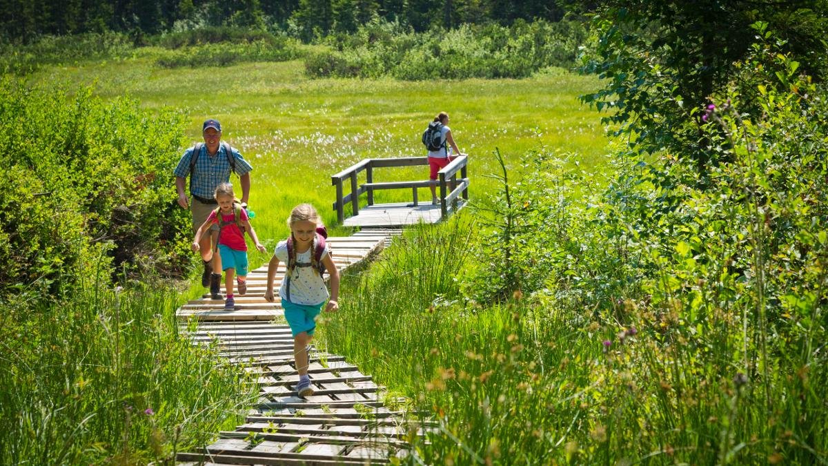 Naturfreunde zwischen fünf und zwölf Jahren können im Juli und August am Freitag mit spannenden, lustigen und abenteuerlichen Aktionen den Lebensraum Moor entdecken. Treffpunkt: Wandertreff beim Infobüro St. Johann in Tirol um 10 Uhr., © Region St Johann in Tirol/Franz Gerdl