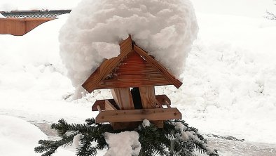 Moaeben Alpbach. Zu viel Schnee, © Margit Klingler