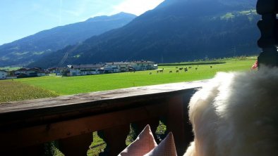 Aussicht vom Balkon im Apart Tyrol (4)