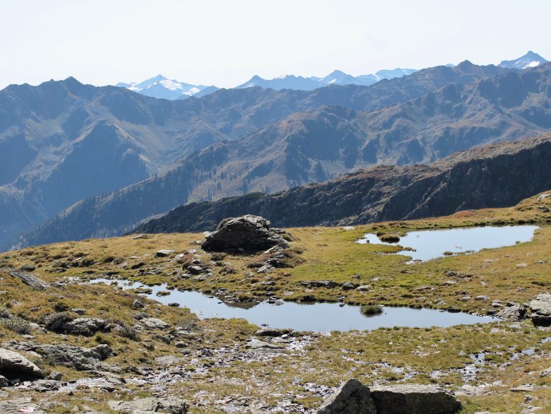 Bergteiche auf dem Weg zum Hohen Beil.