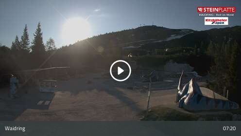 Webcam Triassic Park