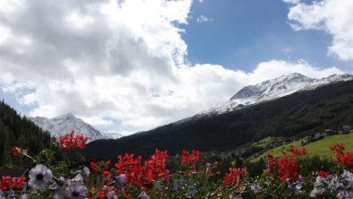 Blick vom Balkon 1