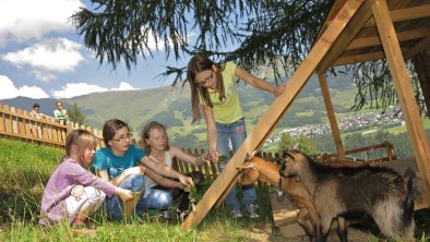 Alle unsere Tiere freuen sich über Aufmerksamkeit, © Naturhotel Feriengut Darrehof