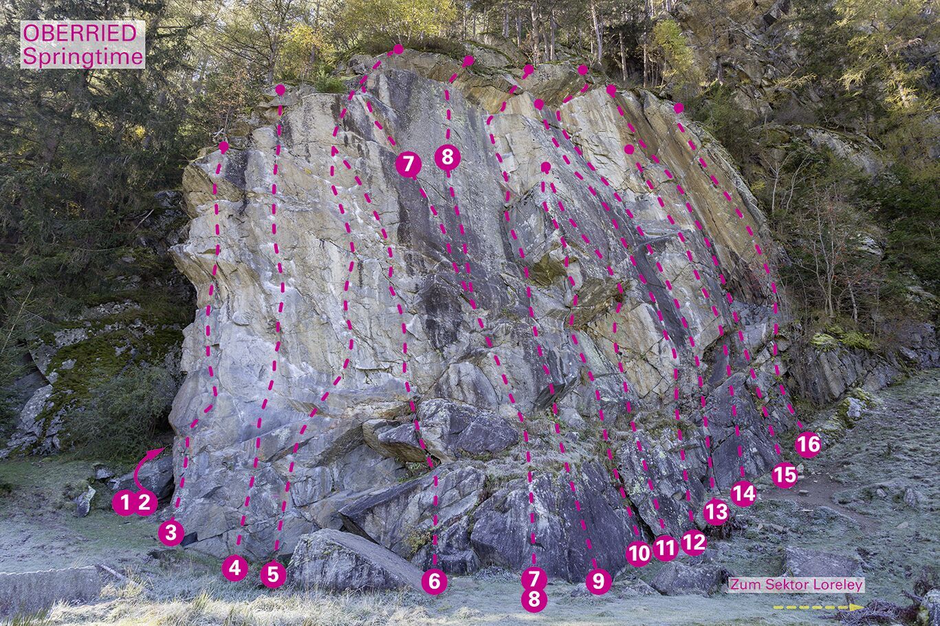 Topographie