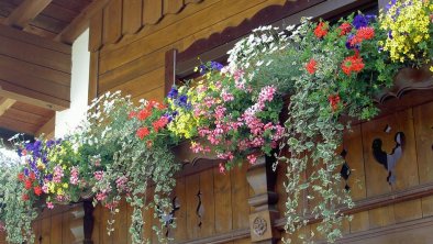 Balkonblumen, © Haus Antonius