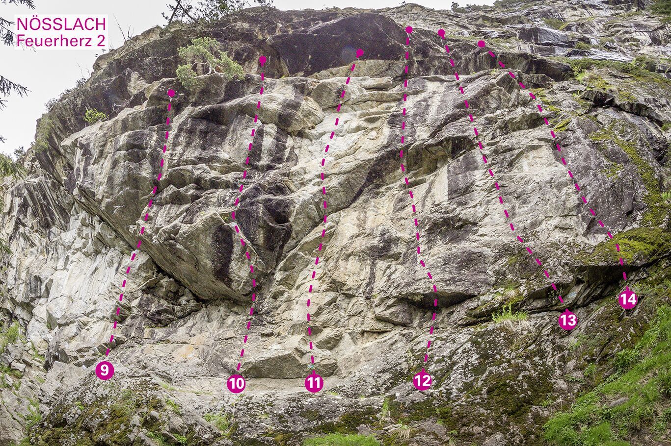 Topographie
