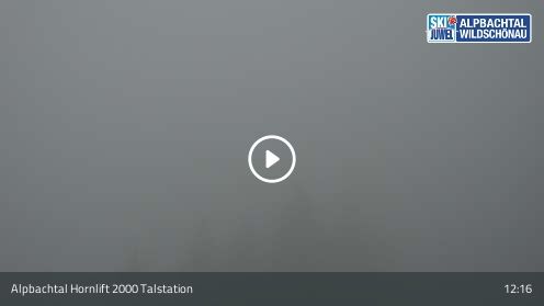 Webcam Hornlift 2000 Talstation