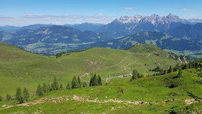 Buchensteinwand mit Steinbergen