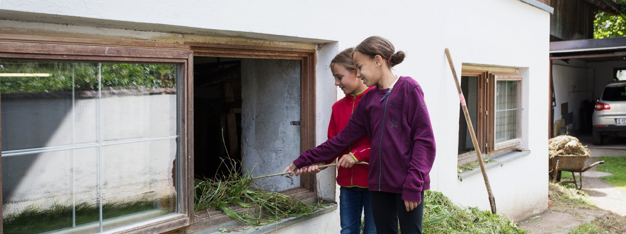 Gintherhof in Ehenbichl, © Tirol Werbung/Lisa Hörterer