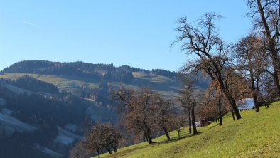 Moahof Appartements Alpbach, Sonne und Schatten, © Klingler Sandra