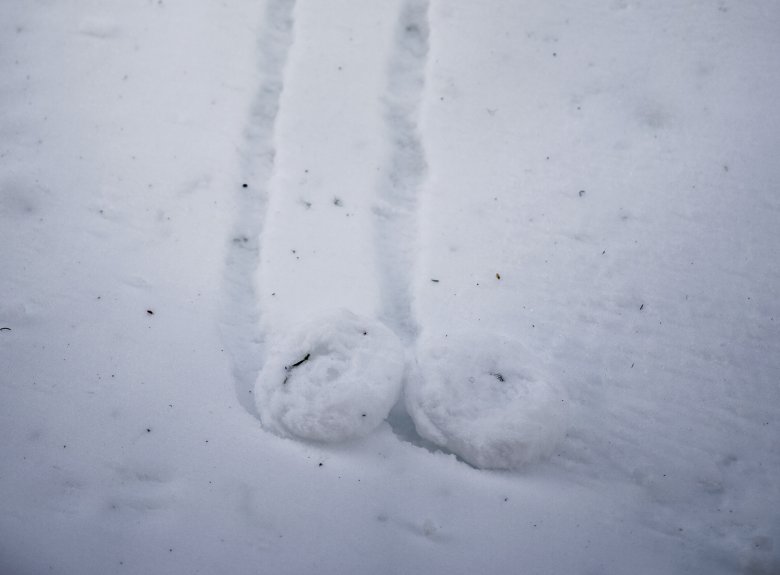             Die Erfindung des Rades? Schneeschnecken, die sich ohne Fremdeinwirkung gebildet haben.

          