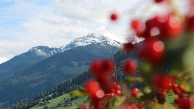 Moahof Appartements Alpbach, Herbstschnee, © Klingler Sandra