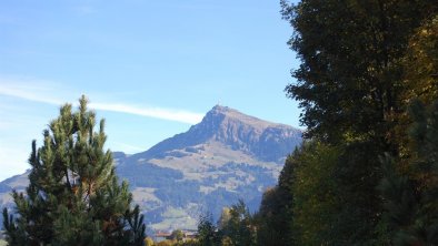 Ausblick auf Kitzbüheler Horn im Sommer, © Familie Schroll