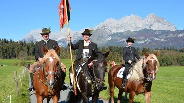 Noriker und Wilder Kaiser - Leonhardiritt in Oberdorf in Tirol, © Monika Pletzer