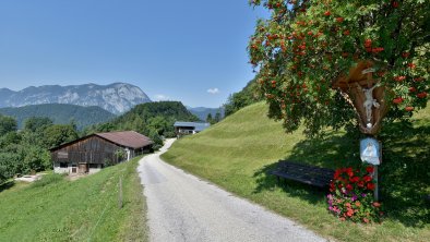 Hattenhof Schwoich Ansicht