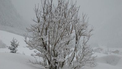 Winter in Neugasteig