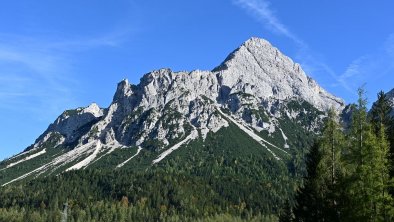 Zirbennest_ChaletAusblick