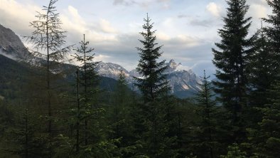 Bild vom Wiesenweg zur Ehrwalder Alm