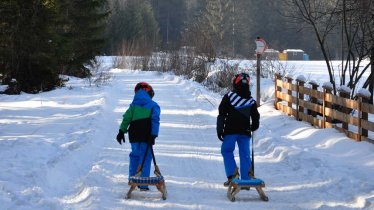 Auf der Höllenstein-Rodelbahn im Alpbachtal, © Almenrausch