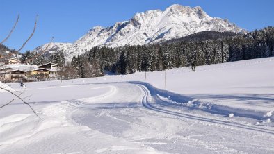 Langlaufloipe Feistenau