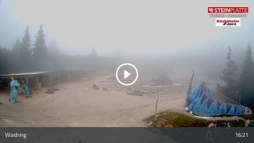Webcam Triassic Park