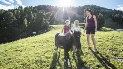 hochoetz_wandern_widiversum_07_17, © Ötztal Tourismus