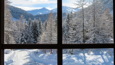 Haus-Waldbauer_im Winter (2)