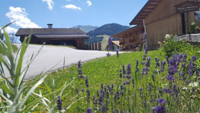 Ansicht Hinteraltensberg Sommer