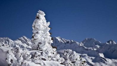 Wintersonne_Haus_Alpenrose