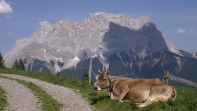 Eltern Sommersonnwende 06 131 - Kopie