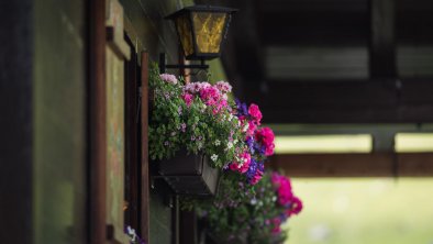 Blumenschmuck Angererghütte, © Agrargemeinschaft Eng Alm