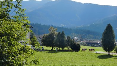 Aussicht von Appartement Nr. 1 u. Nr. 3