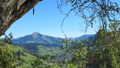 Blick auf Niederau mit Hohe Salve Sommer Wildschön