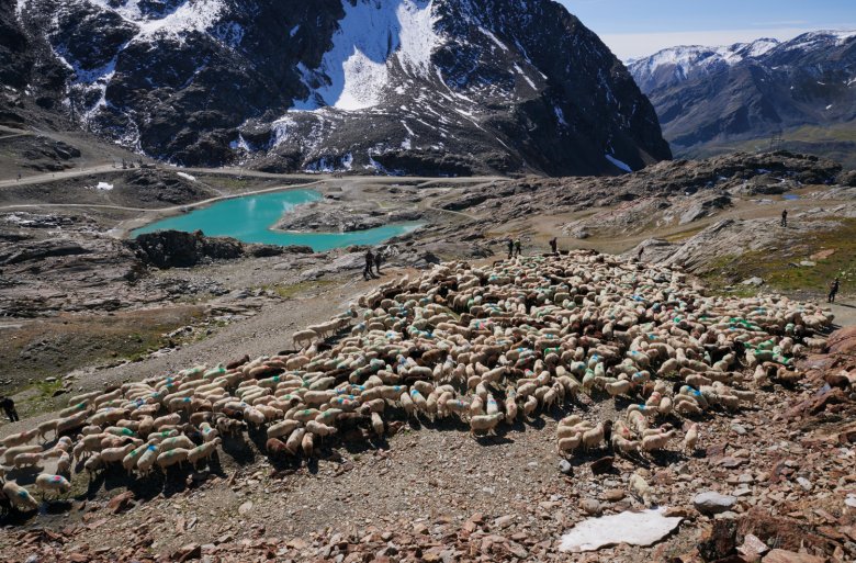 Zwischen Hochjochferner und Grauer Wand erscheint der Gletschersee wie flüssiger Türkis.