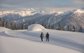 Winterwandern in Kartitsch, © Tirol Werbung / Katharina Poblotzki 