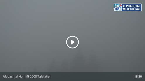 Webcam Hornlift 2000 Talstation