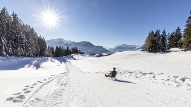 Reith im Alpbachtal, Reither Kogel, Rodeln, Panora