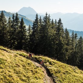 Singletrail Fleckalm in Kirchberg, © Eye5 / Carlos Blanchard