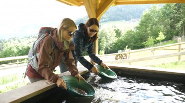 Goldwaschen im Goldschaubergwerk Hainzenberg