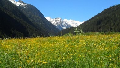 Ausblick Sommer