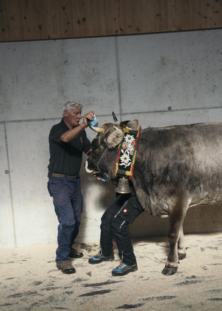 Der Pitztaler Bauer Werner Deutschmann, 76 Jahre alt, mit seiner Topkuh Tamara.