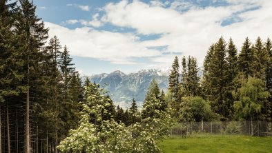 Waldblick Gufl Tulfes