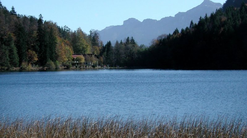 Naturbadesee Alatsee, © Naturparkregion Reutte