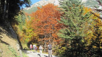 Herbstwanderung zur Enzianhütte/Rumer Alm