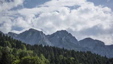 Ausblick Zahmer Kaiser