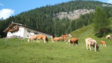 Almen, Grieswirt St. Johann in Tirol