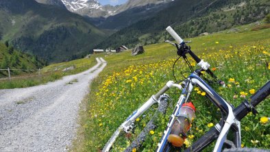 https://images.seekda.net/AT_UMHA_TAUFER/Mountainbiken.jpg