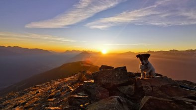 Wandern Natur Berge Hunde