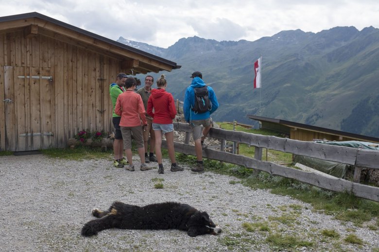 Auch ein flei&szlig;iger Almhund liegt zwischendurch einmal flach.